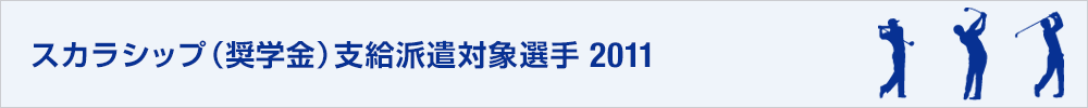 2011年（平成23年）