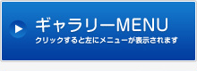 ギャラリーメニューを表示する